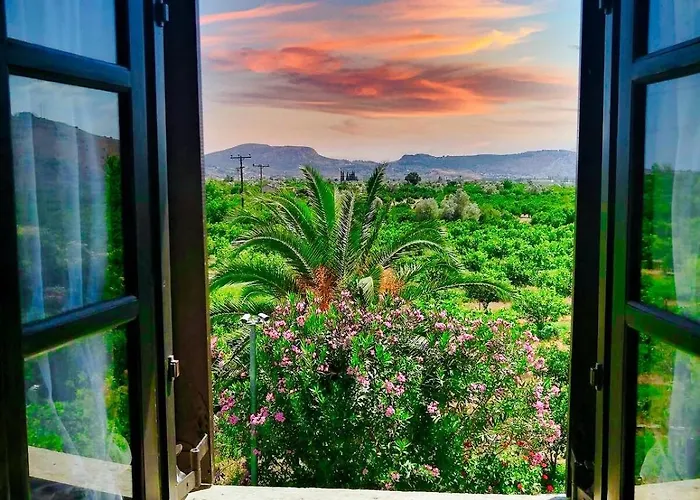 Orange Grove فيلة