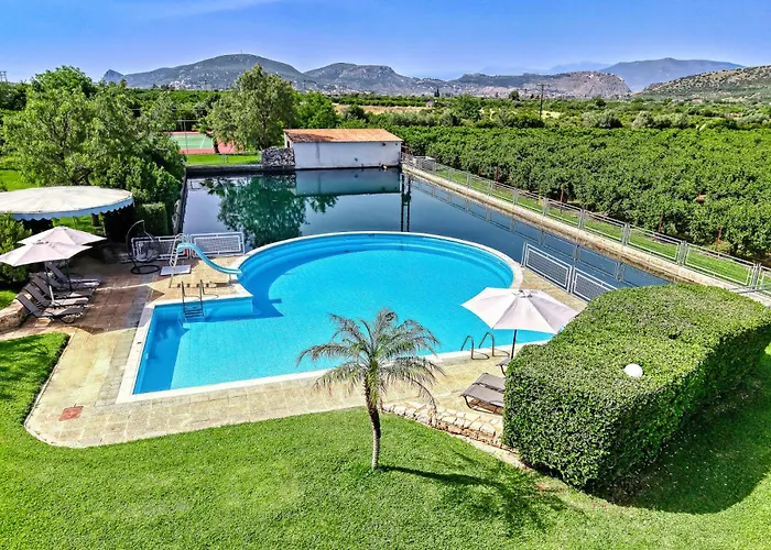 Orange Grove