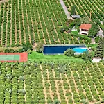 Orange Grove Villa *
