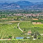 Orange Grove Nafplio