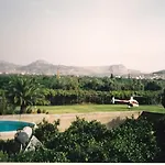 Orange Grove * Nafplio