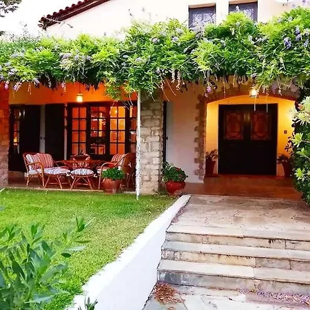 Orange Grove Nafplio