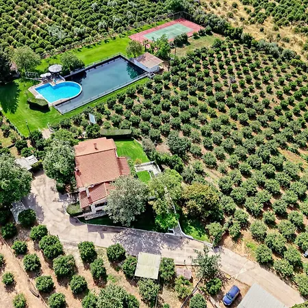 Orange Grove Villa *