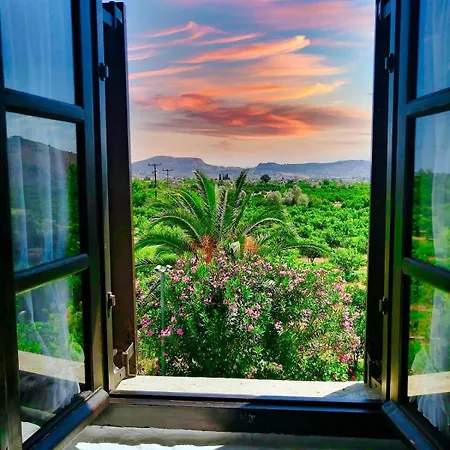 Orange Grove Villa