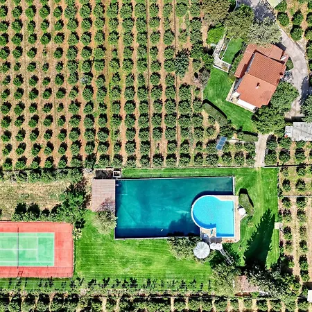 Orange Grove With Heated Private Pool