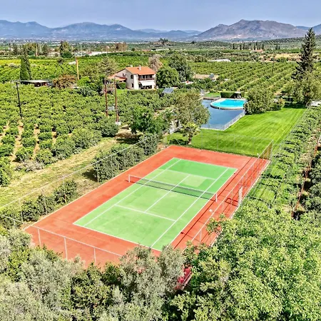 Orange Grove Villa