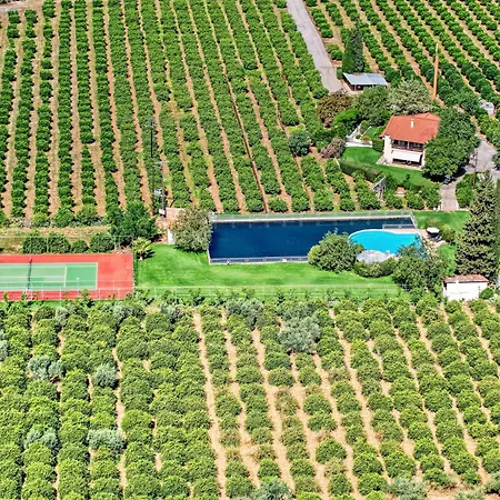 Orange Grove With Heated Private Pool וילה *