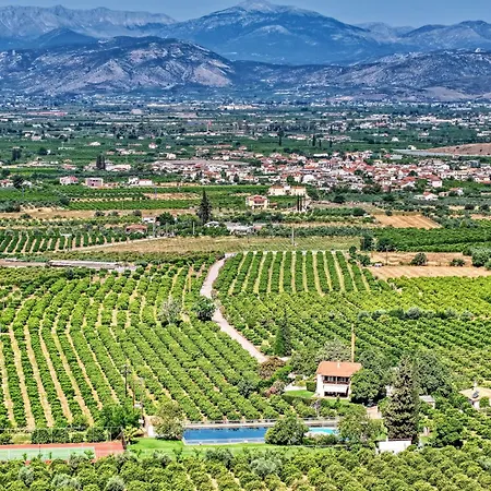 Orange Grove With Heated Private Pool נאפפליו