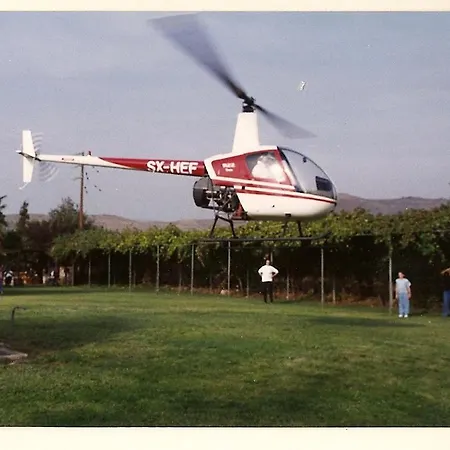 Orange Grove