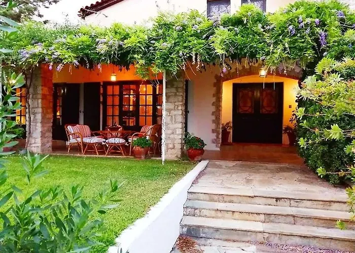 Orange Grove 纳夫普利翁