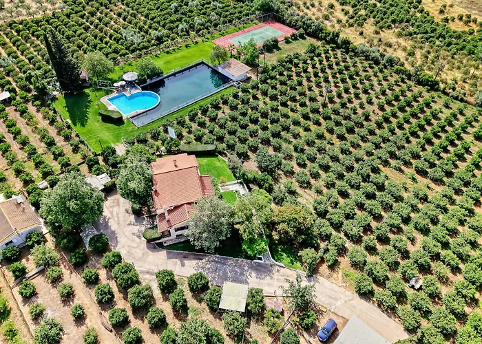 Orange Grove Villa *