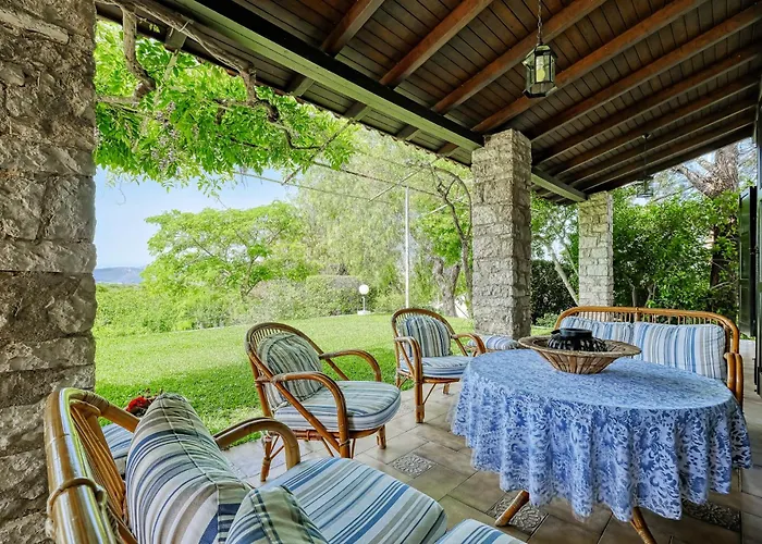 Orange Grove 纳夫普利翁