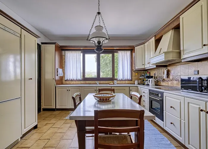 Orange Grove 纳夫普利翁